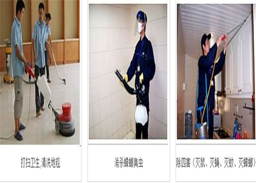 工廠保潔地板清洗 西麗工廠保潔 龍興舊空調(diào)回收服務(wù)